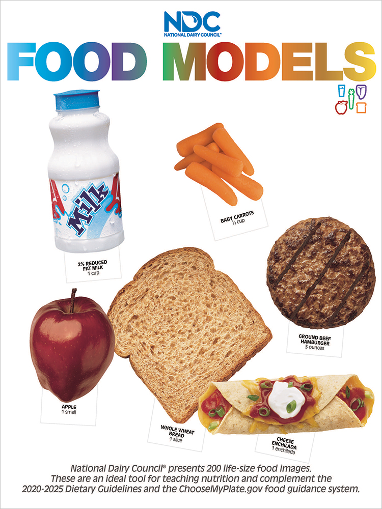 Food Models